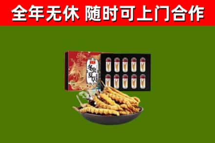 河津烟酒回收冬虫夏草礼盒.jpg